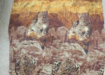 Следователи Камчатки продолжают поиски матери младенца, найденного на городской свалке