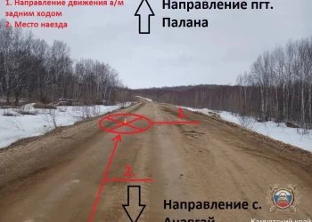 Пьяный водитель сбил пешехода на автозимнике Анавгай – Палана: мужчина умер в больнице