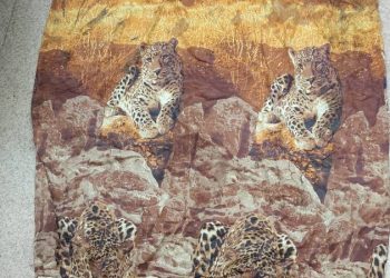 На Камчатке продолжают искать женщину, бросившую новорождённого на свалке