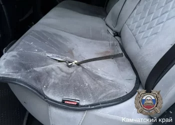 Железный прут пробил дно автомобиля на Камчатке: есть пострадавшая