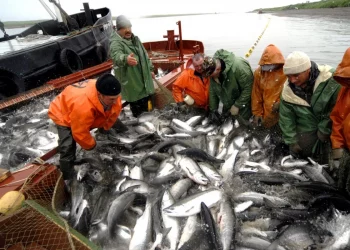 ИРИНА ЯРОВАЯ: ДЛЯ РЫБАКОВ КАМЧАТКИ