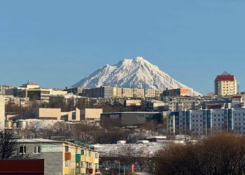 Условного медведя ликвидировали в ходе учения в Петропавловске