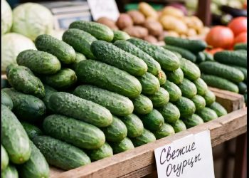 На Камчатке в марте подешевели огурцы и авиабилеты