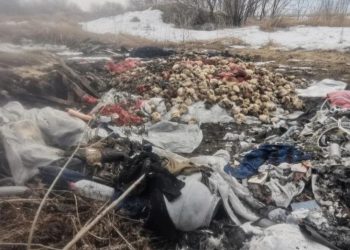 Суд взыскал с камчатской колонии деньги за стихийную свалку