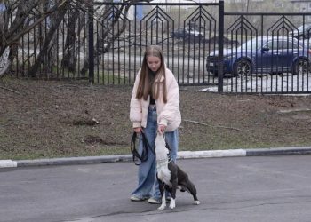 На Камчатке появилась школа юных кинологов