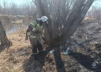 Около 80 возгораний сухой травы произошли на Камчатке с 1 мая