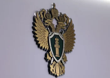 «Они мне не родные»: в колонию отправится елизовчанин, задолжавший своим детям алименты