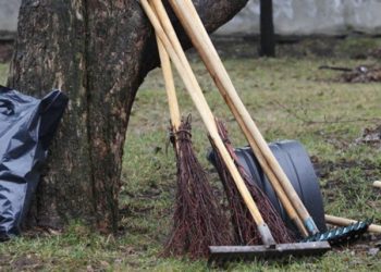 Завершающий субботник пройдёт в этот четверг в столице Камчатки