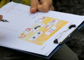 «Семейный забег» прошел на Камчатке около Медвежьего озера