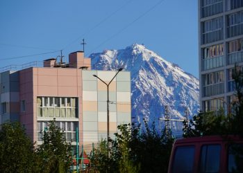 В поликлиниках Петропавловска вводят единый стандарт забора крови: сдавать можно будет в течение всего дня