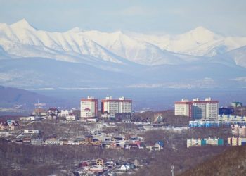Молодёжь на Камчатке чаще ищет помощников при трудоустройстве, старшее поколение полагается на себя