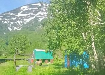 На Карымшинских источниках замечен медведь