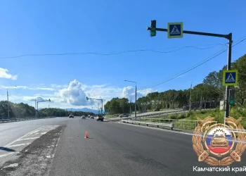 Пенсионерку сбили на трассе «Морпорт – Аэропорт»: ️Госавтоинспекция разыскивает очевидцев ДТП