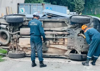 Тормоза в автомобиле отказали у жителя Камчатки: ДТП